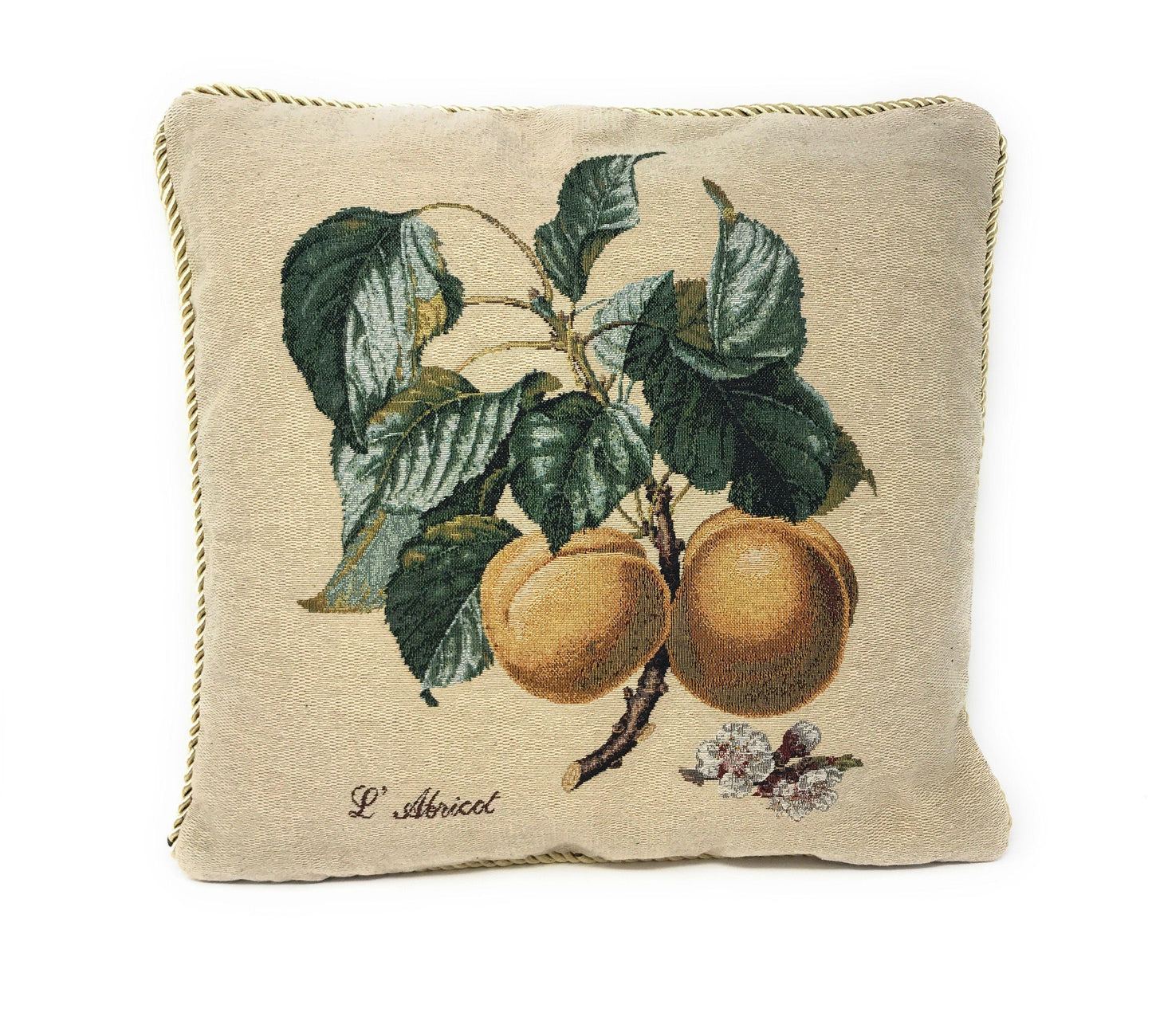 Apricot Fruit Elegant Accent Throw Pillow Cushion Cover 18 Inch