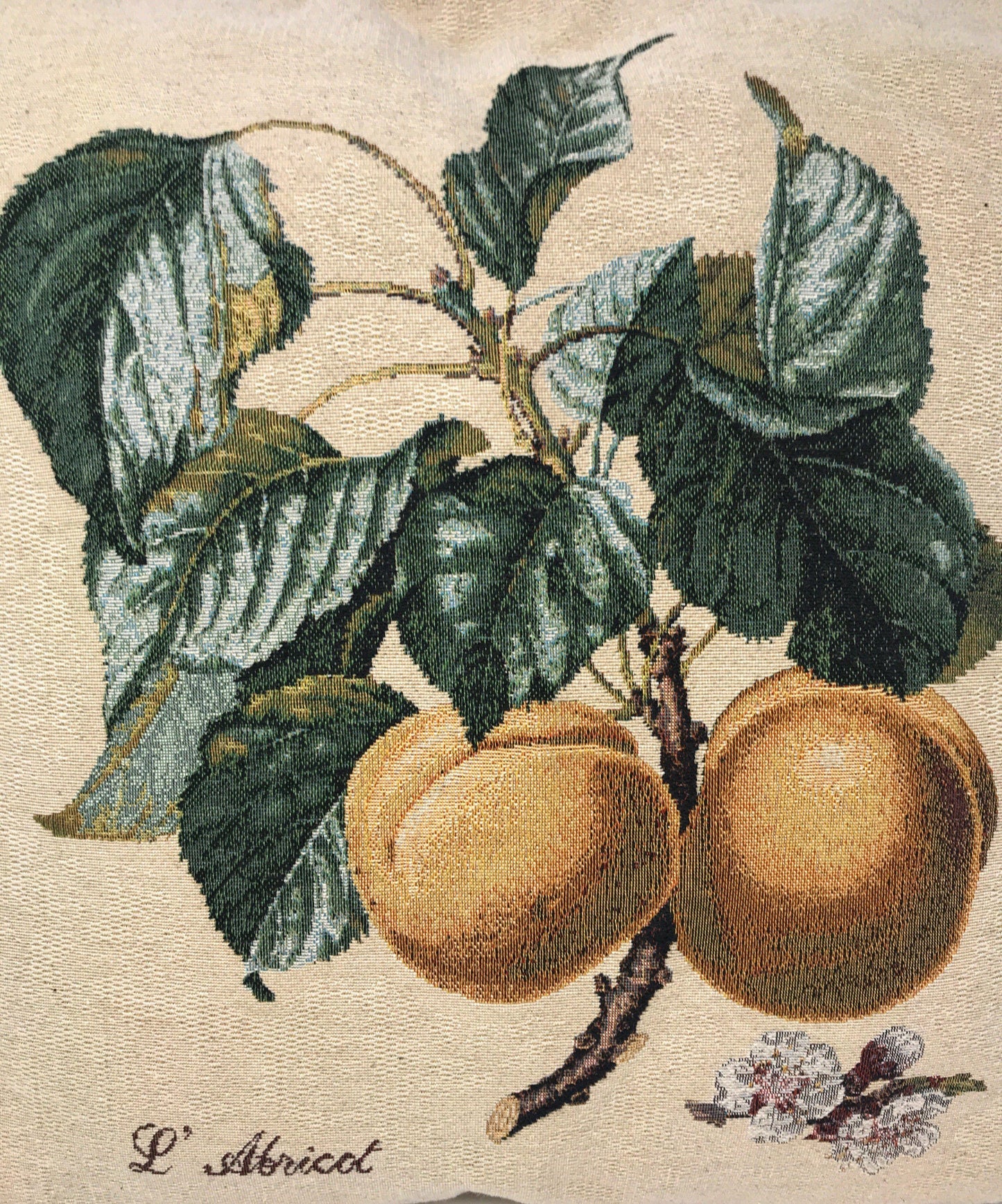 Apricot Fruit Elegant Accent Throw Pillow Cushion Cover 18 Inch