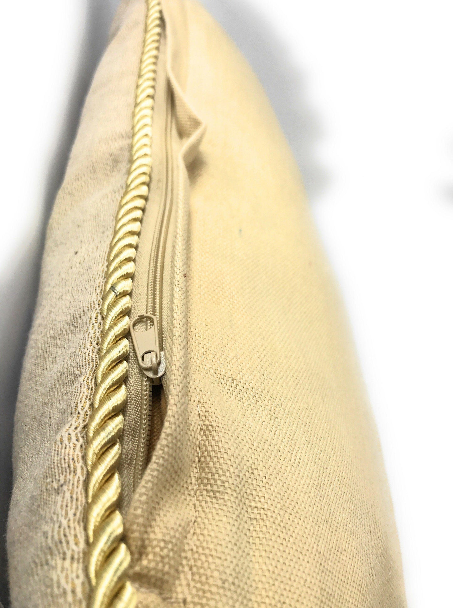 Apricot Fruit Elegant Accent Throw Pillow Cushion Cover 18 Inch