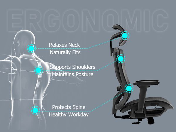 Ergonomic office chair with high back, mesh, adjustable headrest, lumbar, and padded seat.